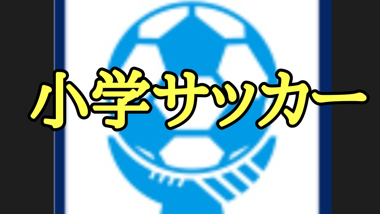 15 全日本少年サッカー大会 優勝 レジスタfc メンバーの進路先 サッカー後日弾